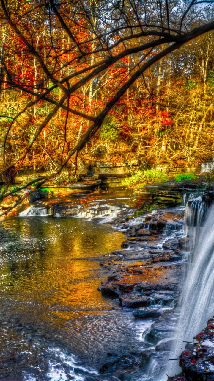 L'eau Tombe au Milieu de la Forêt. Wallpaper in 720x1280 Resolution