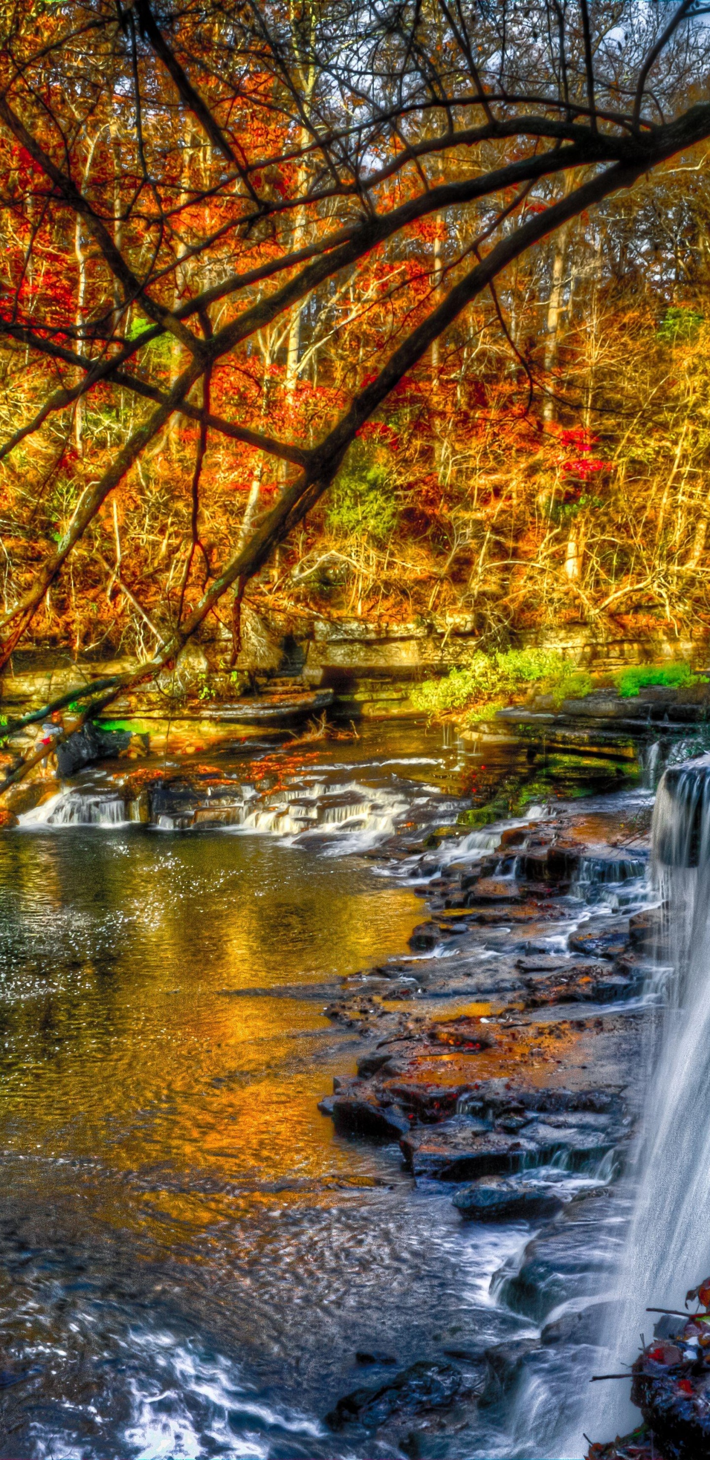 Wasser Fällt Mitten in Den Wald. Wallpaper in 1440x2960 Resolution