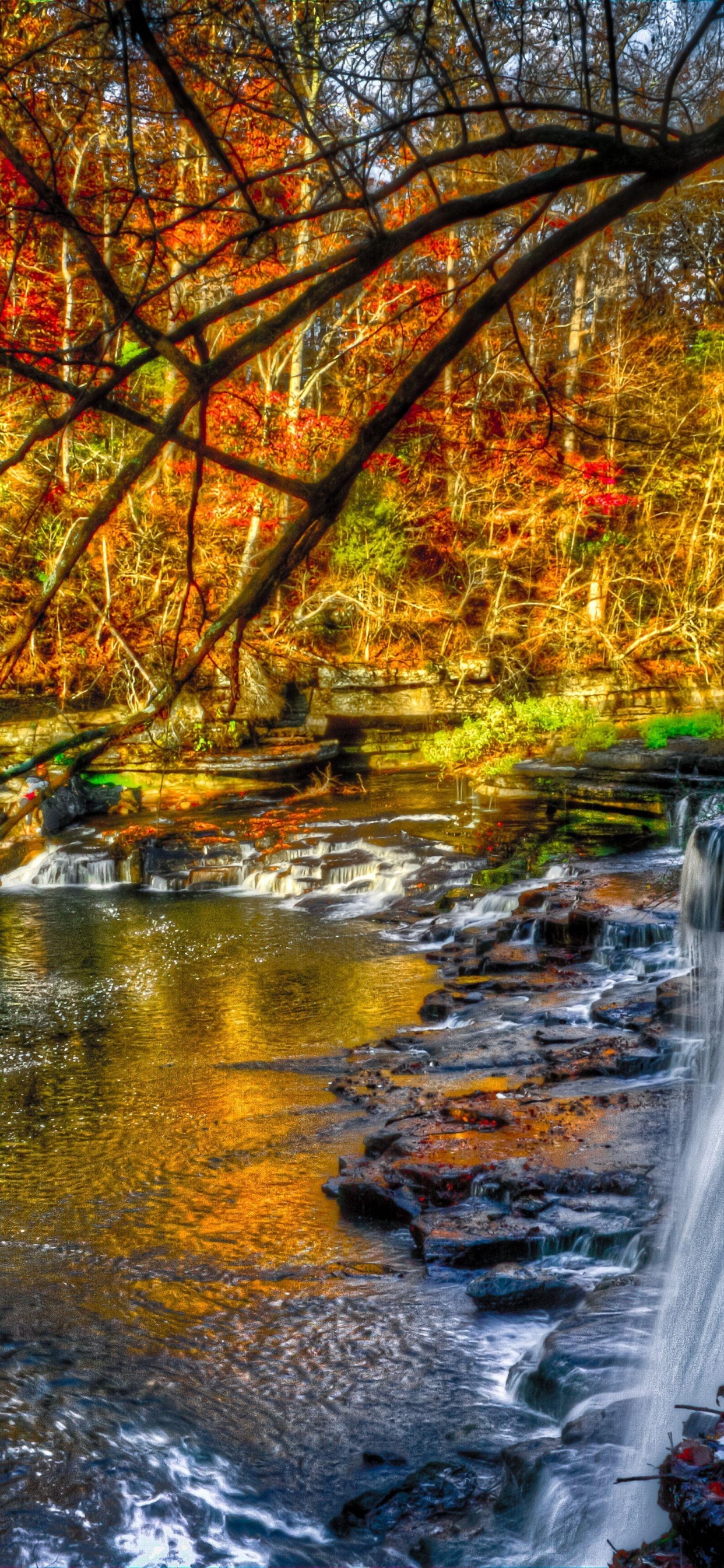 el Agua Cae en Medio Del Bosque. Wallpaper in 1242x2688 Resolution