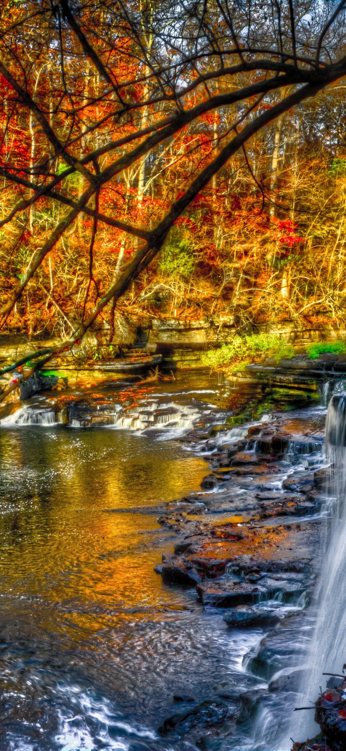 Water Falls in The Middle of The Forest. Wallpaper in 1125x2436 Resolution