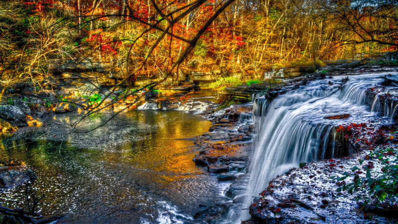 Water Falls in The Middle of The Forest. Wallpaper in 1280x720 Resolution