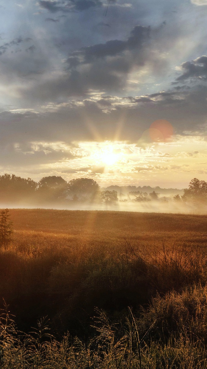早上, 日出, 阳光, 晚上, 太阳 壁纸 720x1280 允许