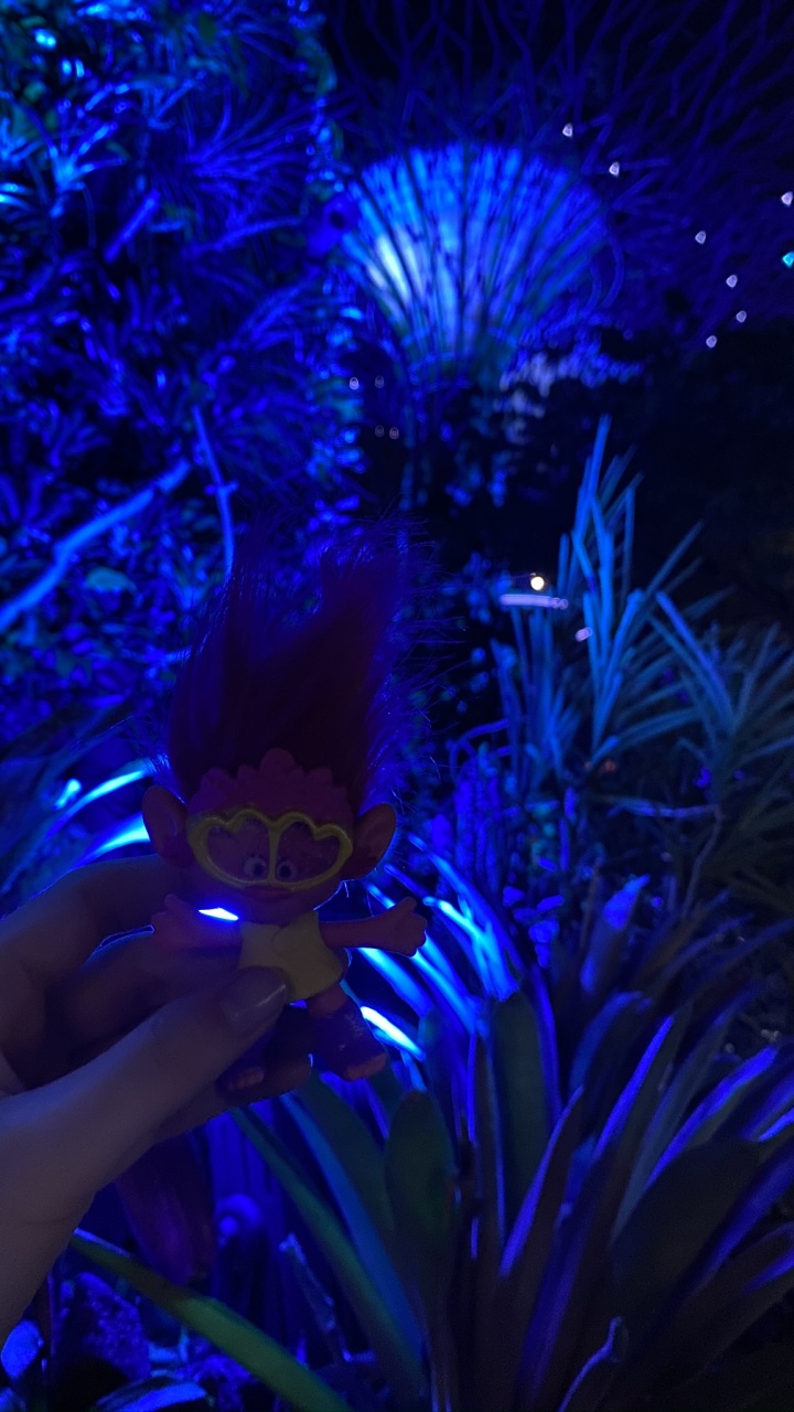 Singapur, Licht, Majorelle-blau, Marine Biologie, Fraktale Kunst. Wallpaper in 720x1280 Resolution