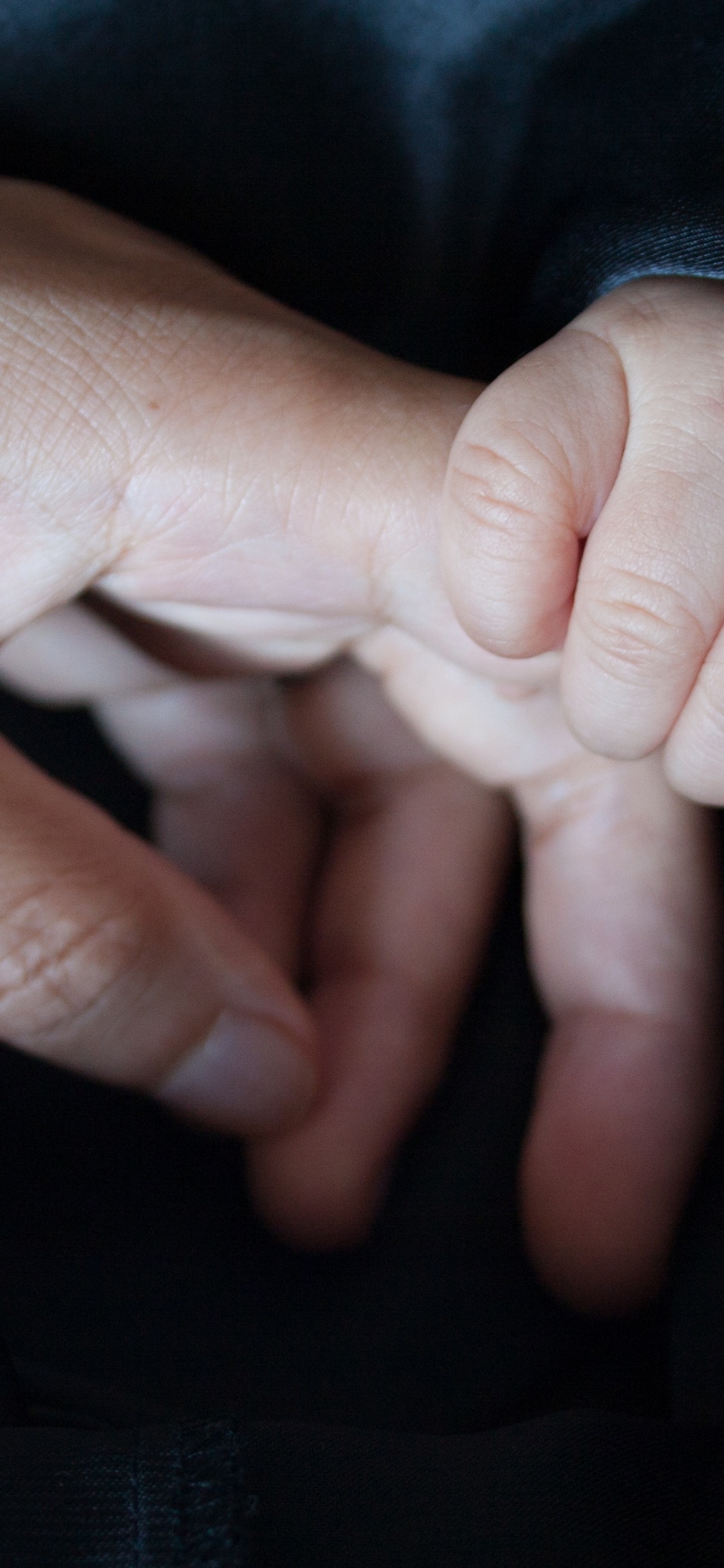 Person Holding Babys Hand. Wallpaper in 1125x2436 Resolution