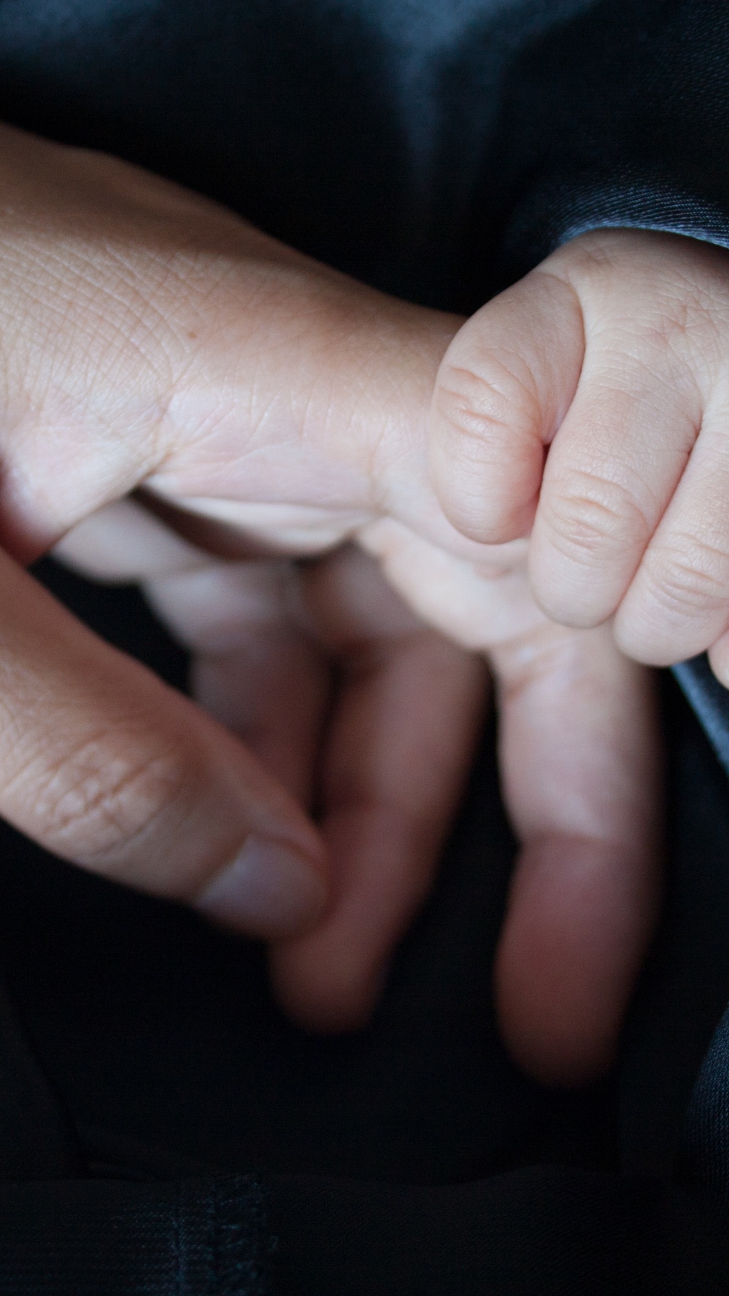 Person Holding Babys Hand. Wallpaper in 1440x2560 Resolution