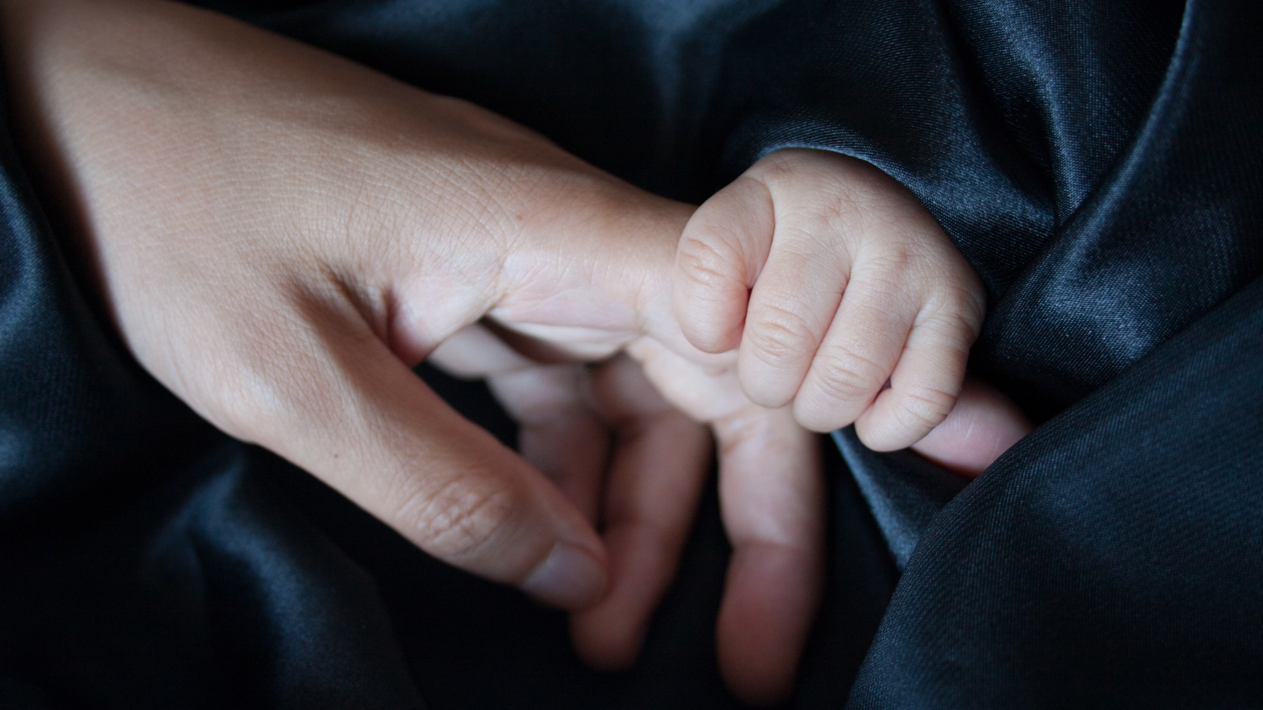 Person Holding Babys Hand. Wallpaper in 2560x1440 Resolution