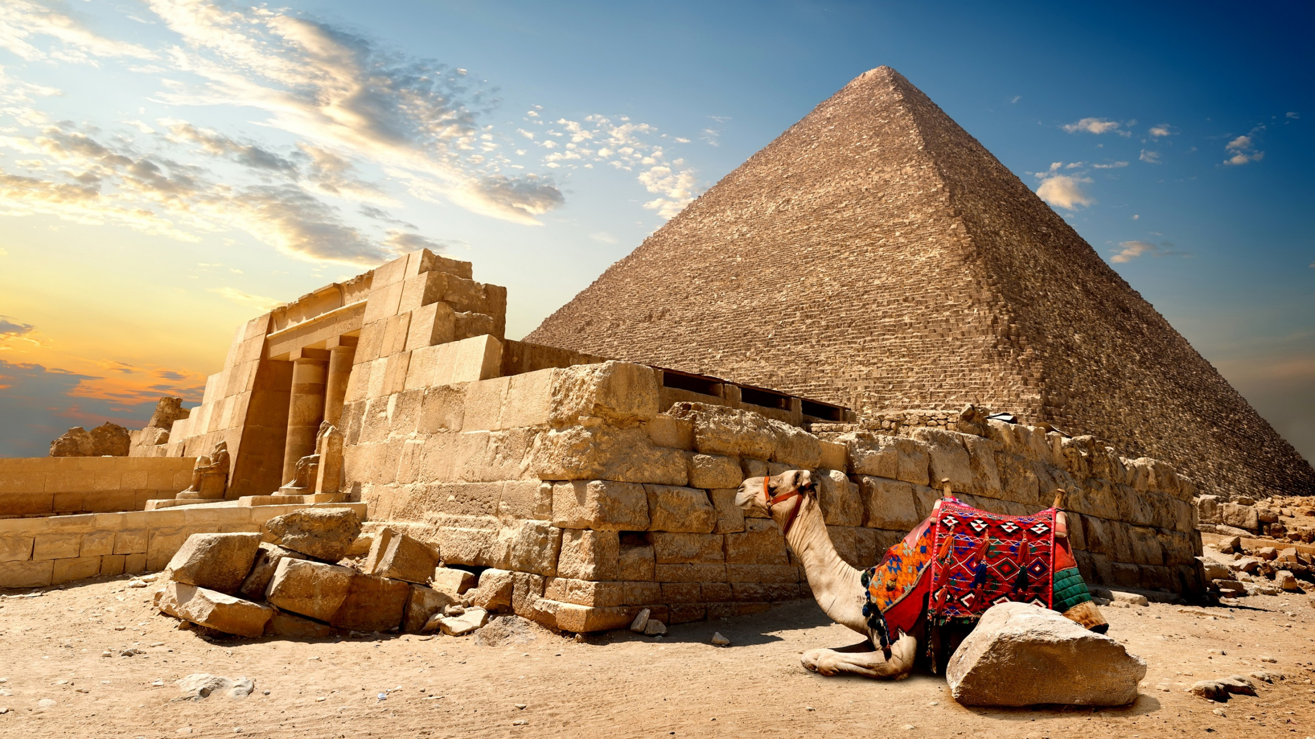 Brown Horse Near Pyramid Under Blue Sky During Daytime. Wallpaper in 2560x1440 Resolution