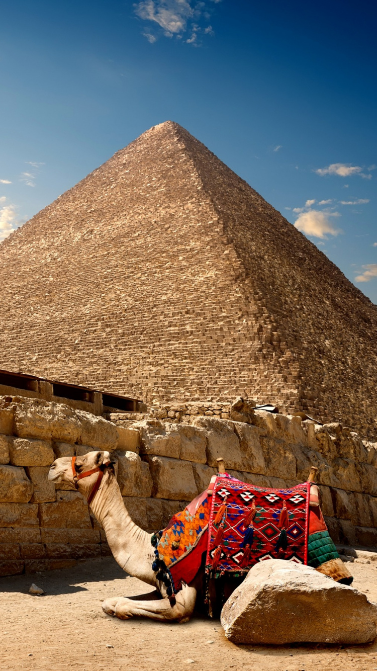 Braunes Pferd in Der Nähe Der Pyramide Unter Blauem Himmel Tagsüber. Wallpaper in 750x1334 Resolution