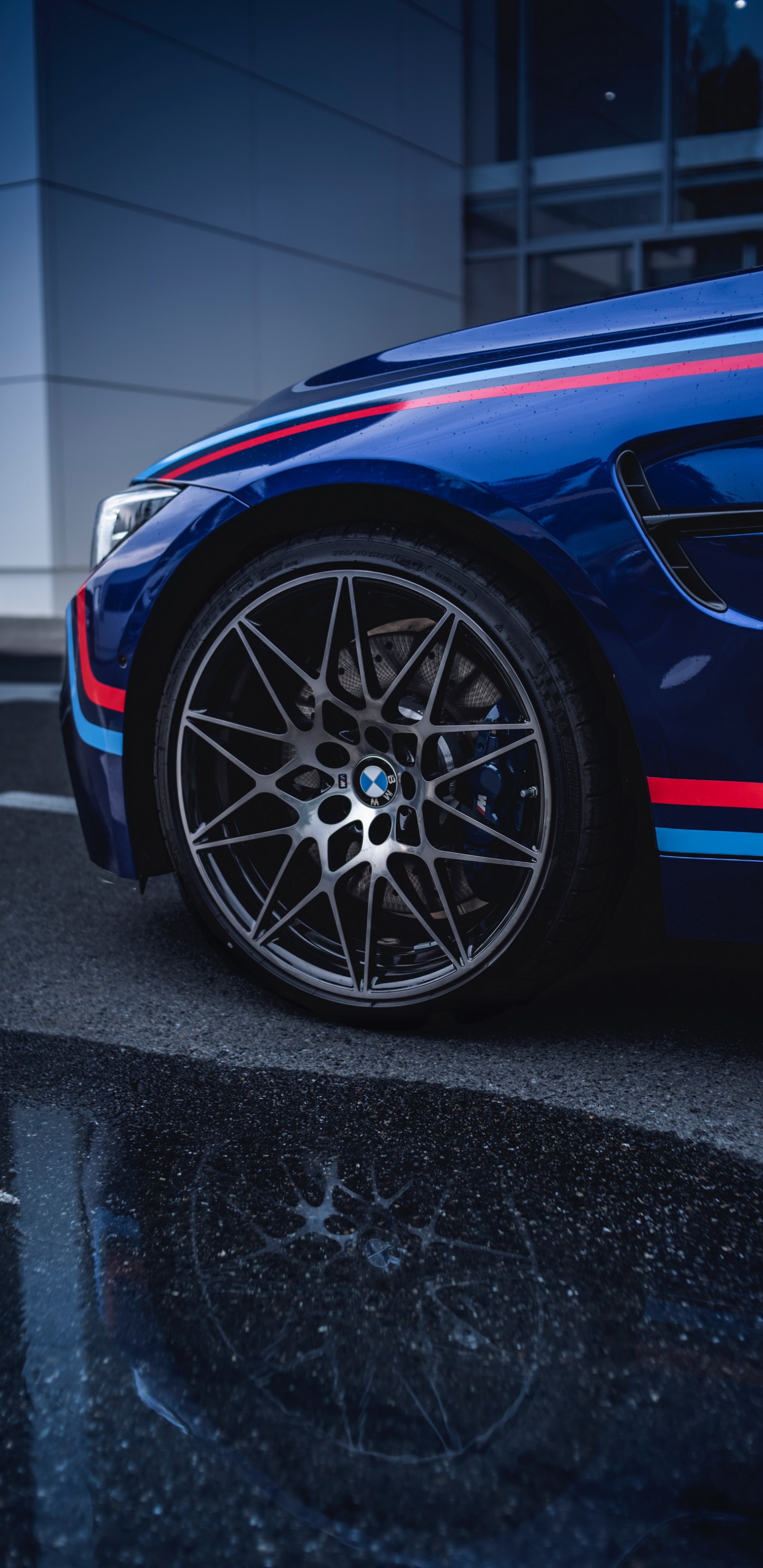BMW, Tire, Rad, KFZ-Reifen, Kapuze. Wallpaper in 1440x2960 Resolution