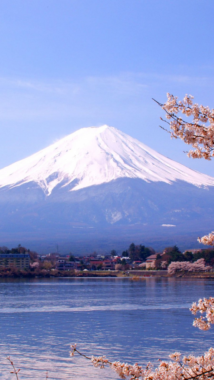 樱花, 安装的风景, 日本, 冬天, 工厂 壁纸 750x1334 允许