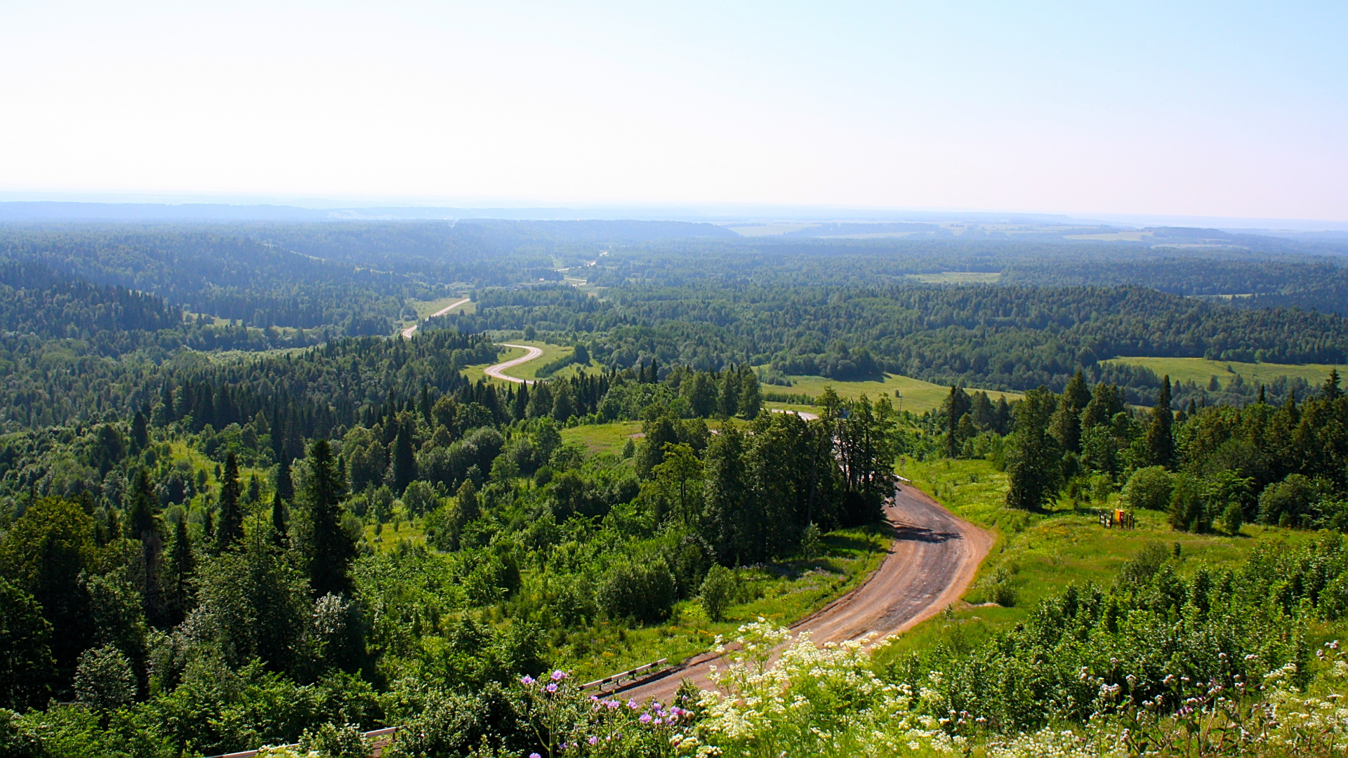 Árboles Verdes en la Montaña Durante el Día. Wallpaper in 1920x1080 Resolution