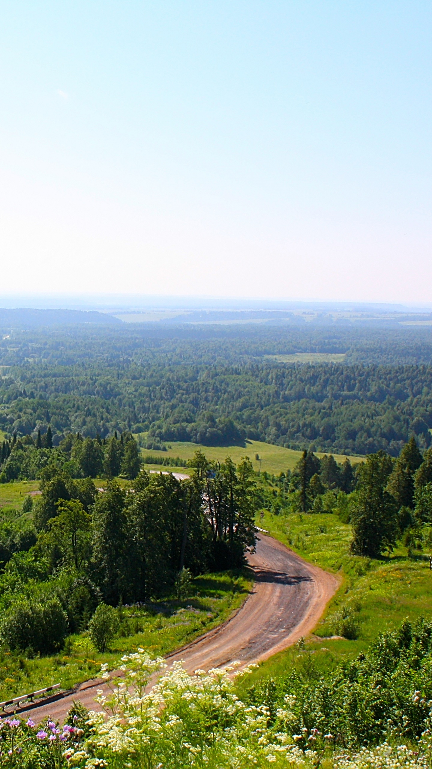 Tagsüber Grüne Bäume Auf Dem Berg. Wallpaper in 1440x2560 Resolution