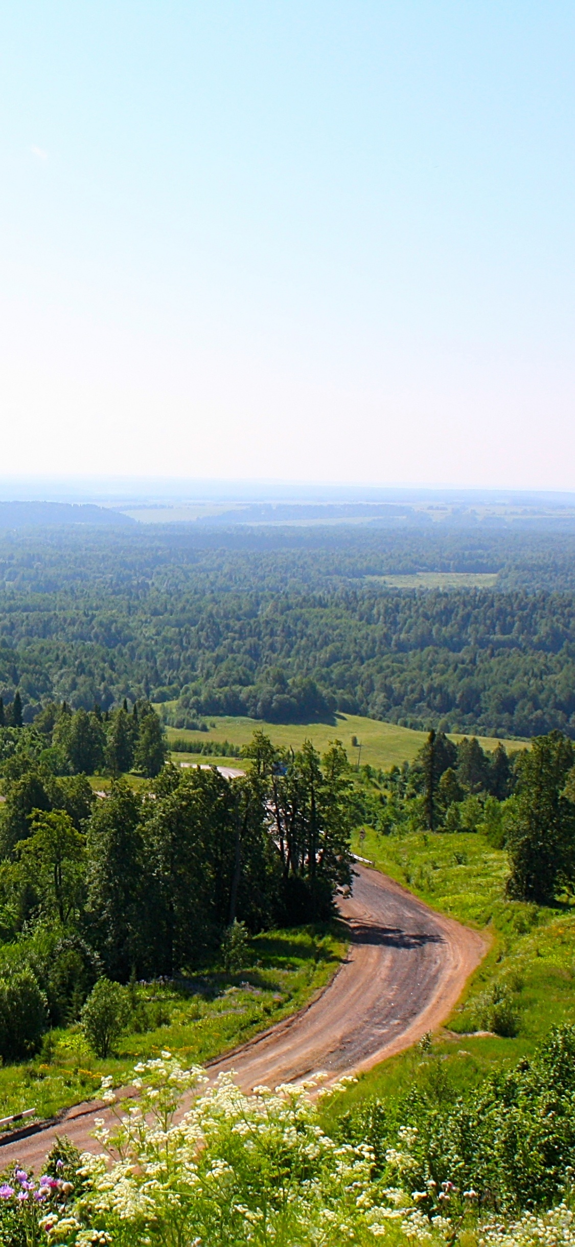 Green Trees on Mountain During Daytime. Wallpaper in 1125x2436 Resolution