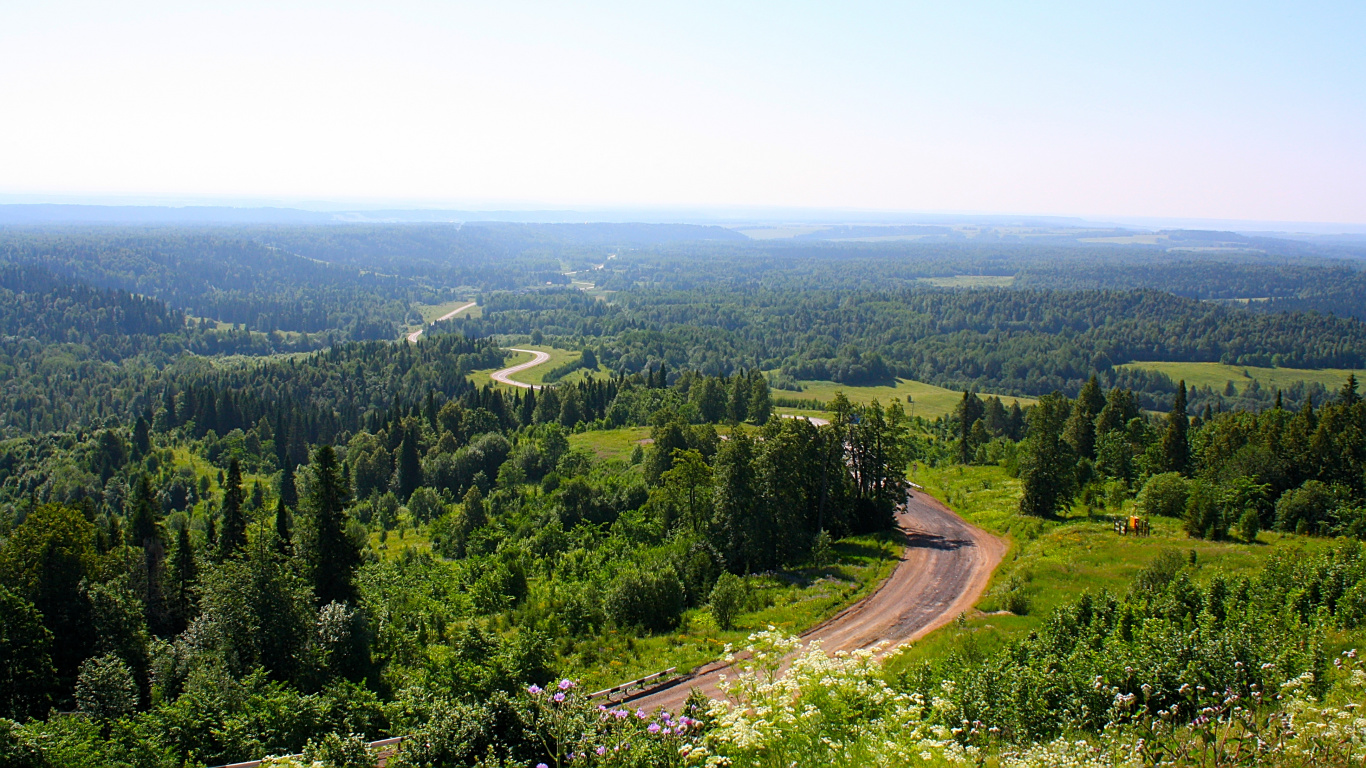 Green Trees on Mountain During Daytime. Wallpaper in 1366x768 Resolution