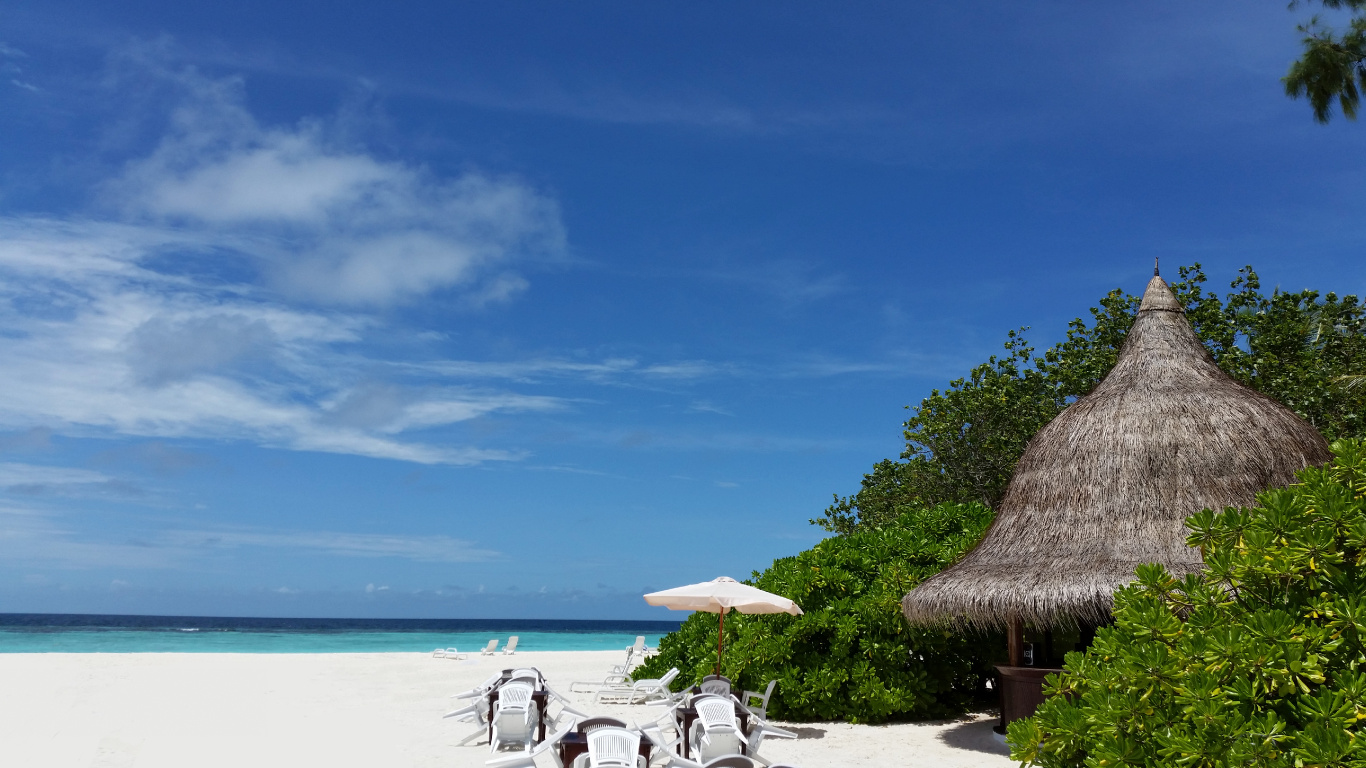 People Sitting on White Chairs Under Brown Beach Umbrella During Daytime. Wallpaper in 1366x768 Resolution