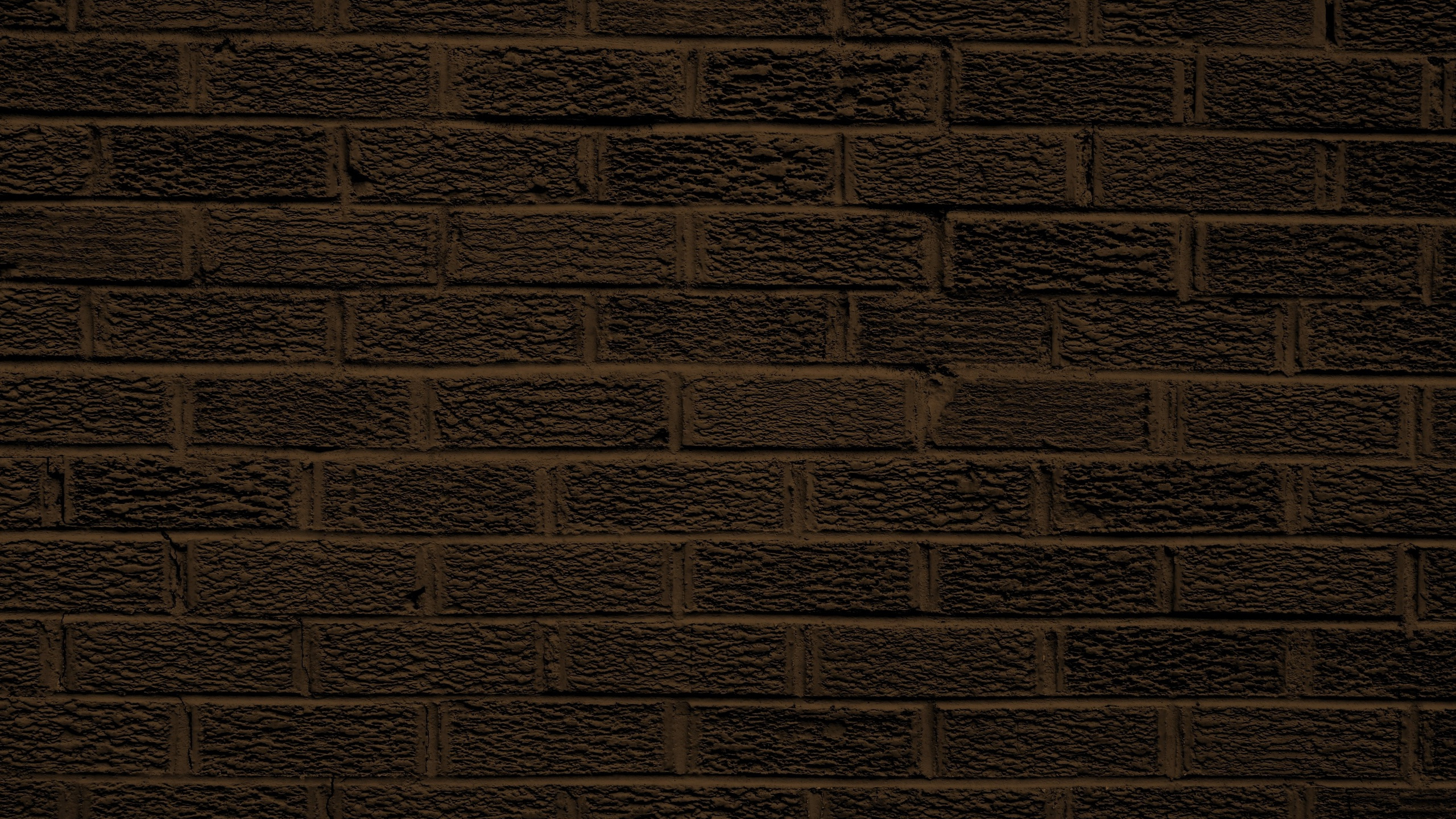 Mur de Briques Brunes Avec Mur Noir et Blanc. Wallpaper in 2560x1440 Resolution