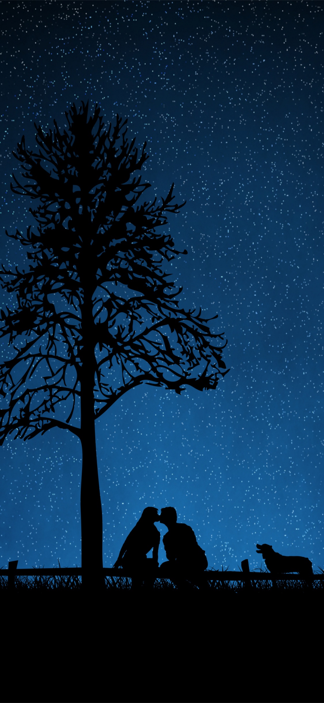 Silhouette, Noir, Nuit, Blue, Obscurité. Wallpaper in 1125x2436 Resolution