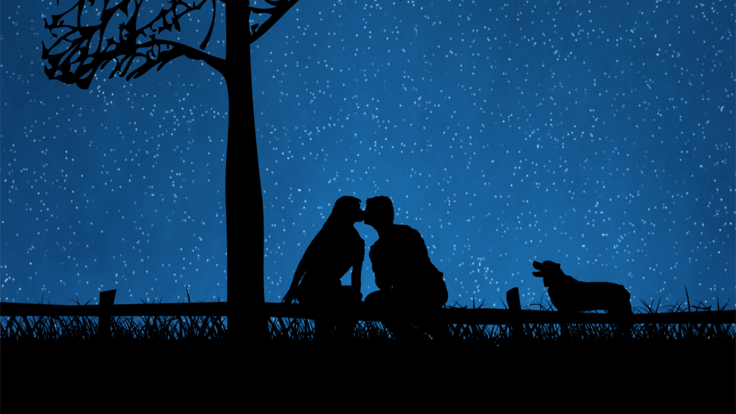 Silhouette, Noir, Nuit, Blue, Obscurité. Wallpaper in 2560x1440 Resolution