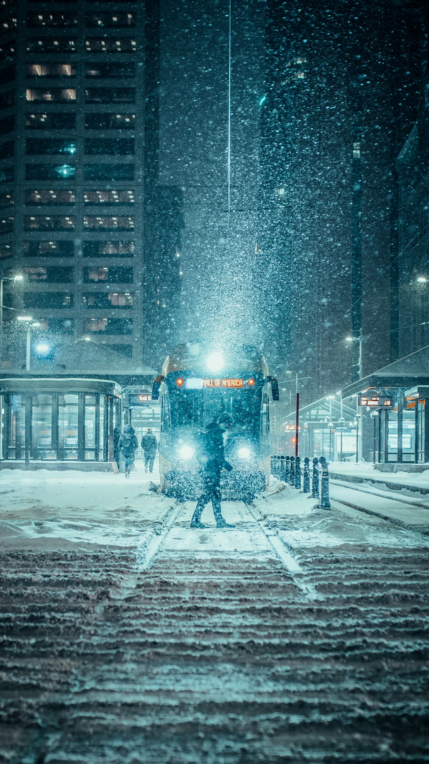 Winter City, Snow, Winter, City, Seoul. Wallpaper in 1440x2560 Resolution