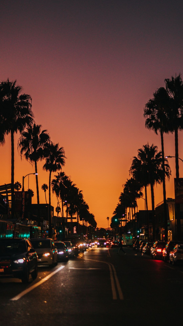 Palmenstadt, Palms, Baum, Car, Street Light. Wallpaper in 750x1334 Resolution
