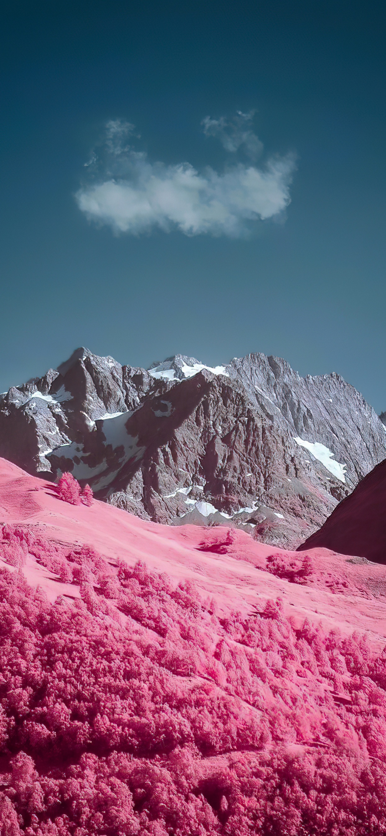 Smartphone, Android, Bluetooth, SIM Card, Telephone. Wallpaper in 1242x2688 Resolution