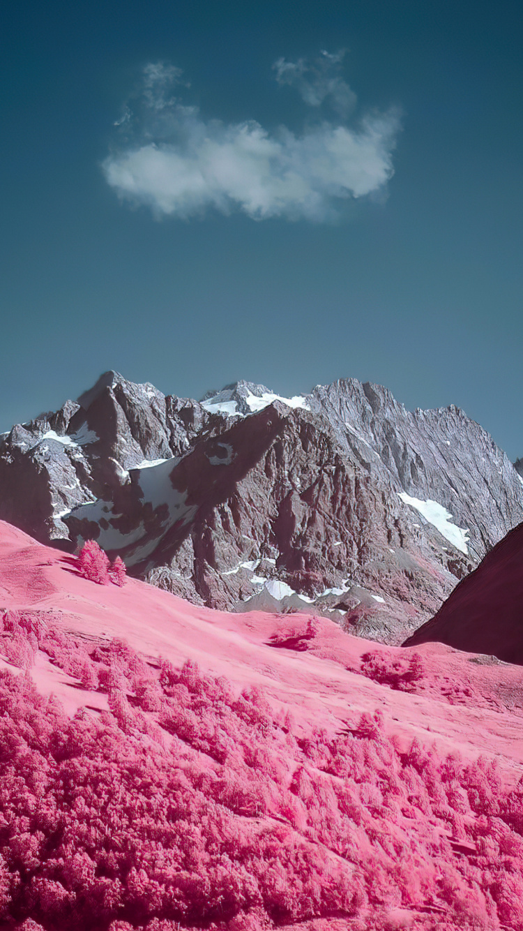 Smartphone, Android, Bluetooth, SIM Karte, Telefon. Wallpaper in 750x1334 Resolution