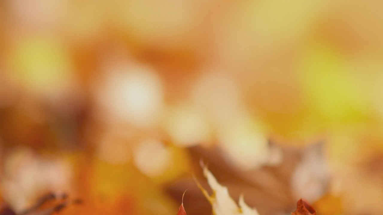 LG, LG V30, Geschichten Von Uns Band 2, In Dem Wunsch, Gott, Erzählung. Wallpaper in 1280x720 Resolution