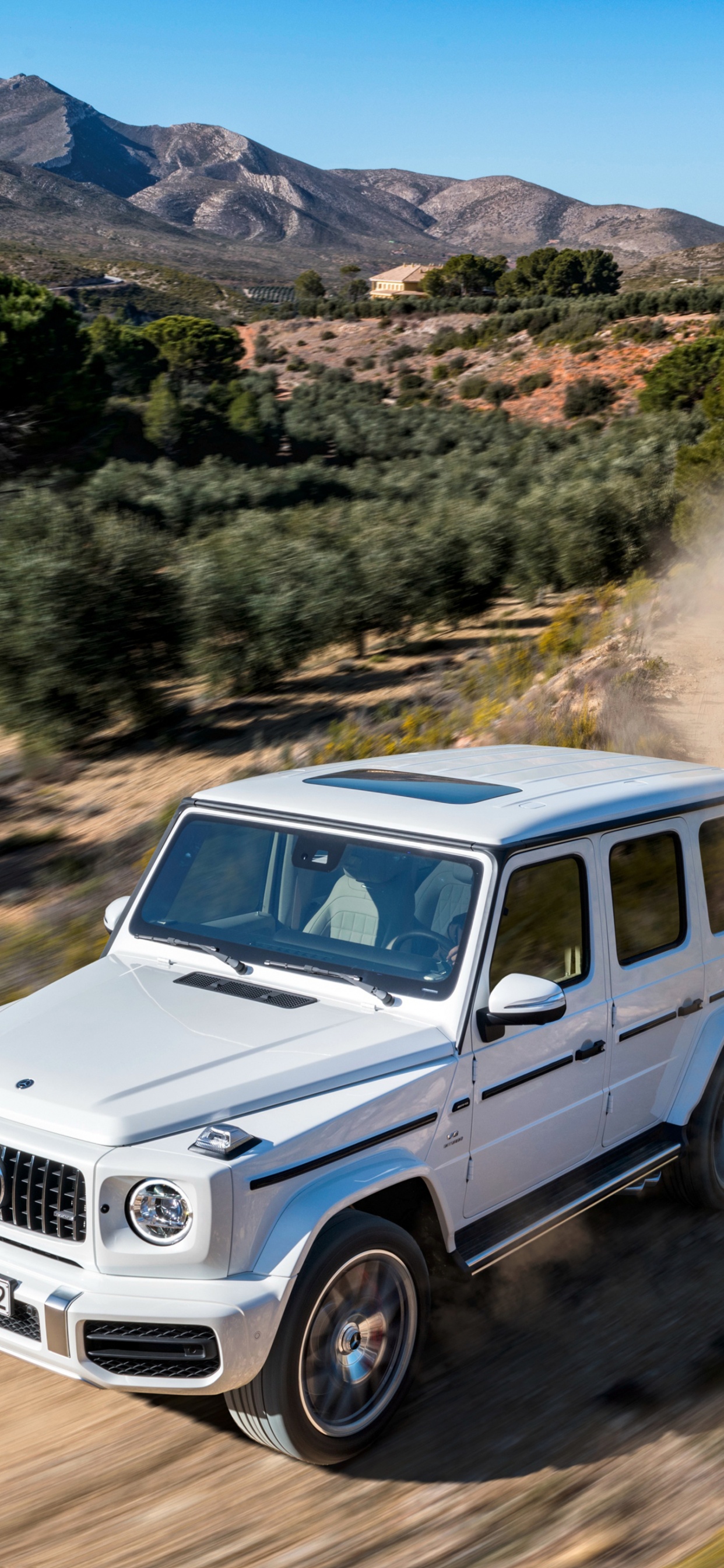 SUV Blanco en Camino de Tierra Durante el Día. Wallpaper in 1242x2688 Resolution