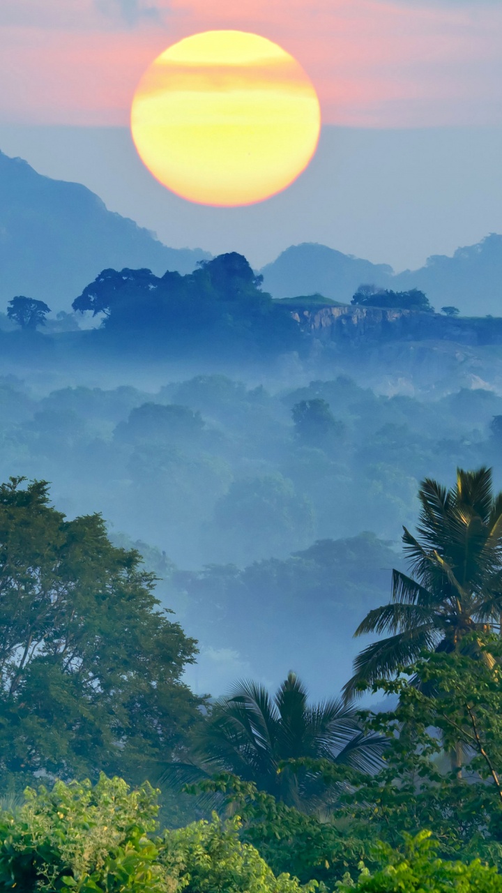Grüne Bäume in Der Nähe Des Berges Tagsüber Mountain. Wallpaper in 720x1280 Resolution