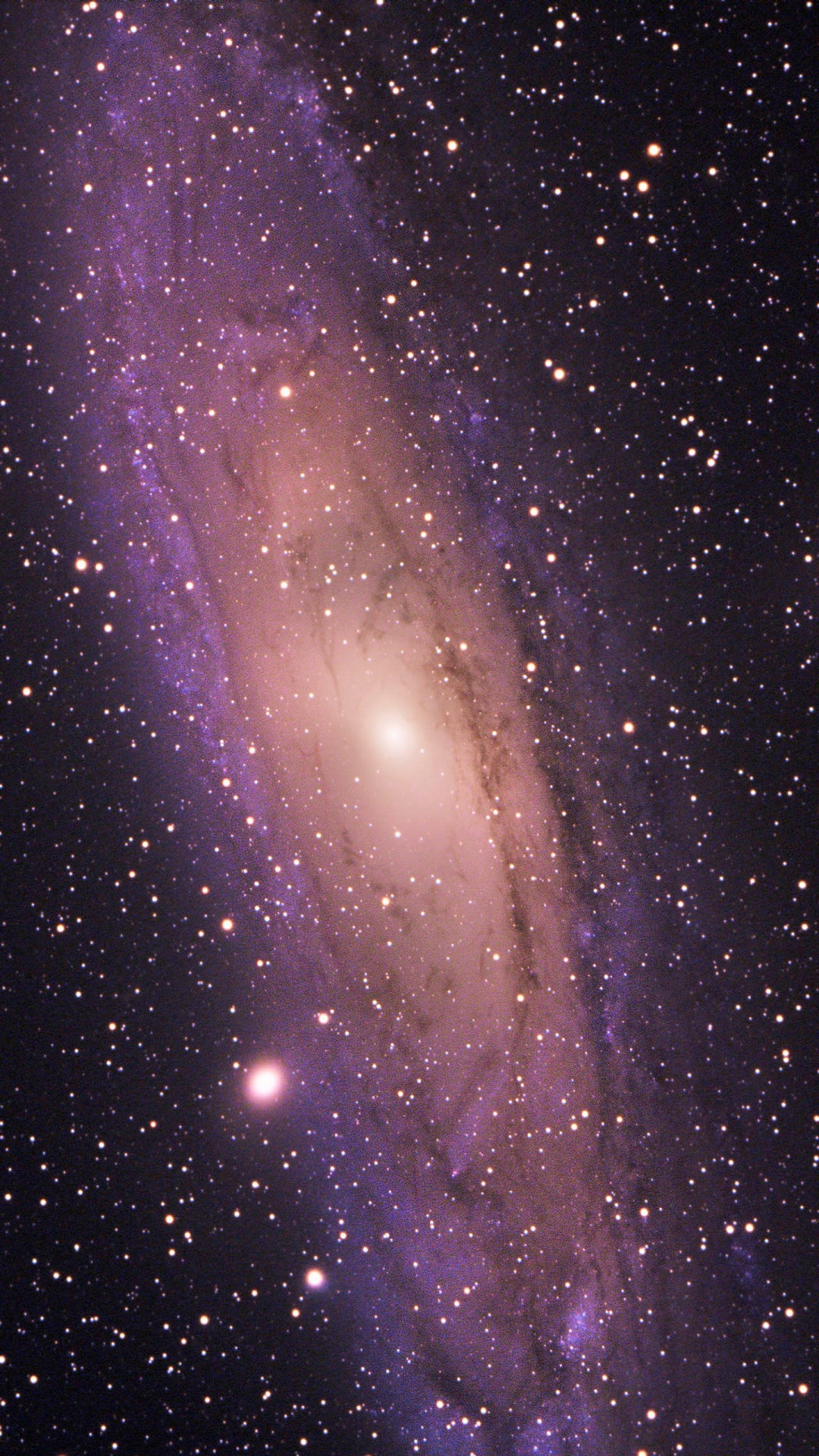 Vía Láctea Del Cielo Del Sur, Vía Láctea, la Astronomía, Tierra, Estrella. Wallpaper in 1080x1920 Resolution