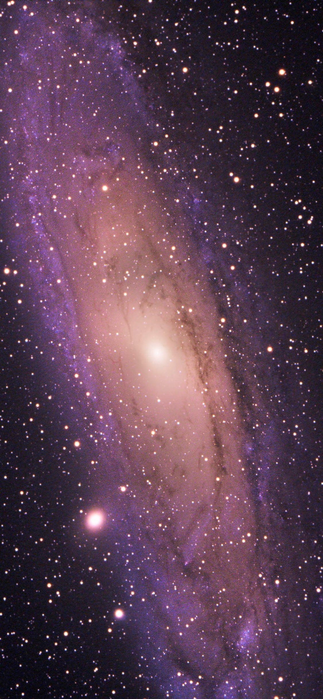 Vía Láctea Del Cielo Del Sur, Vía Láctea, la Astronomía, Tierra, Estrella. Wallpaper in 1125x2436 Resolution