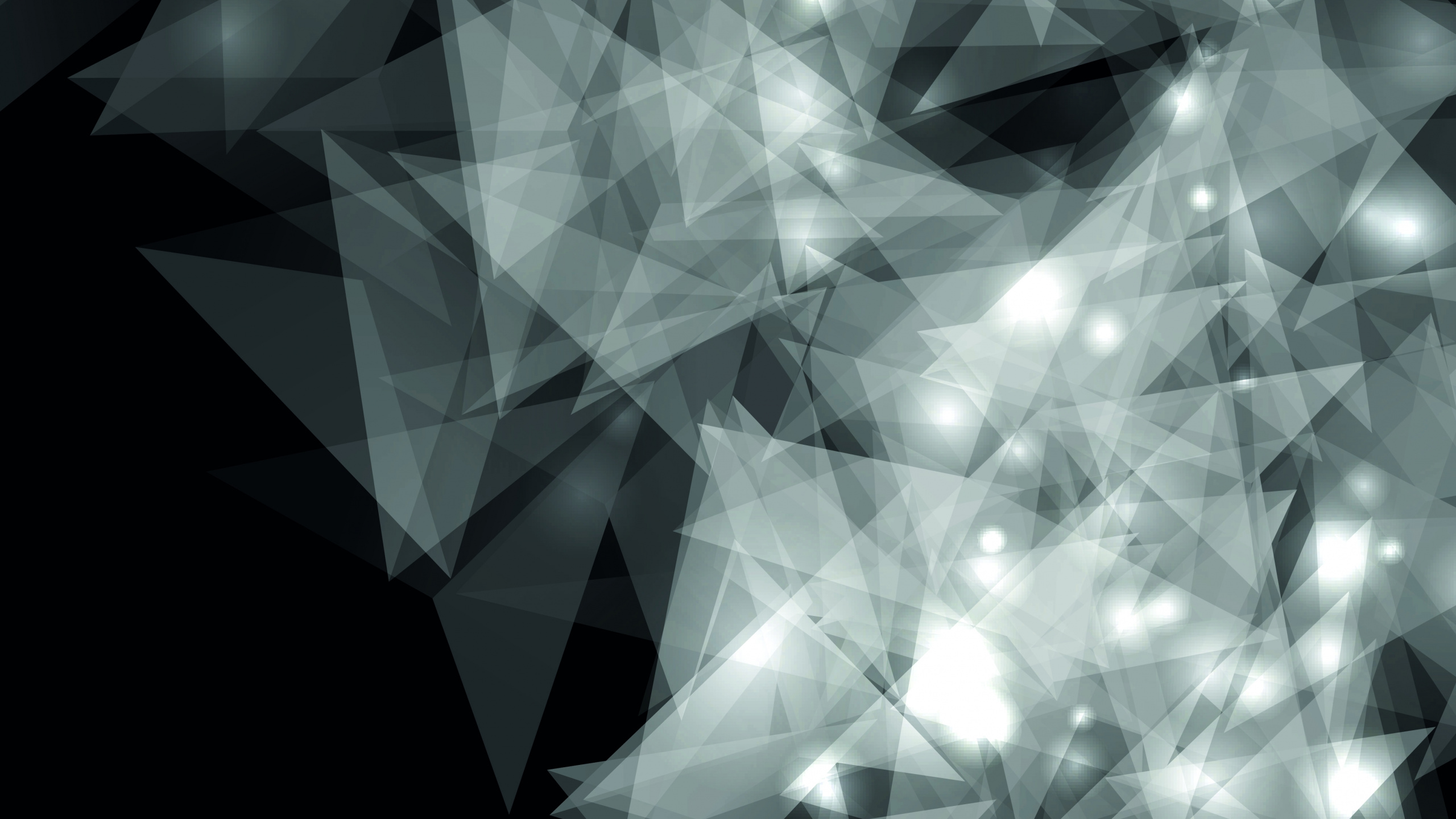 Ilustración Abstracta en Blanco y Negro. Wallpaper in 2560x1440 Resolution