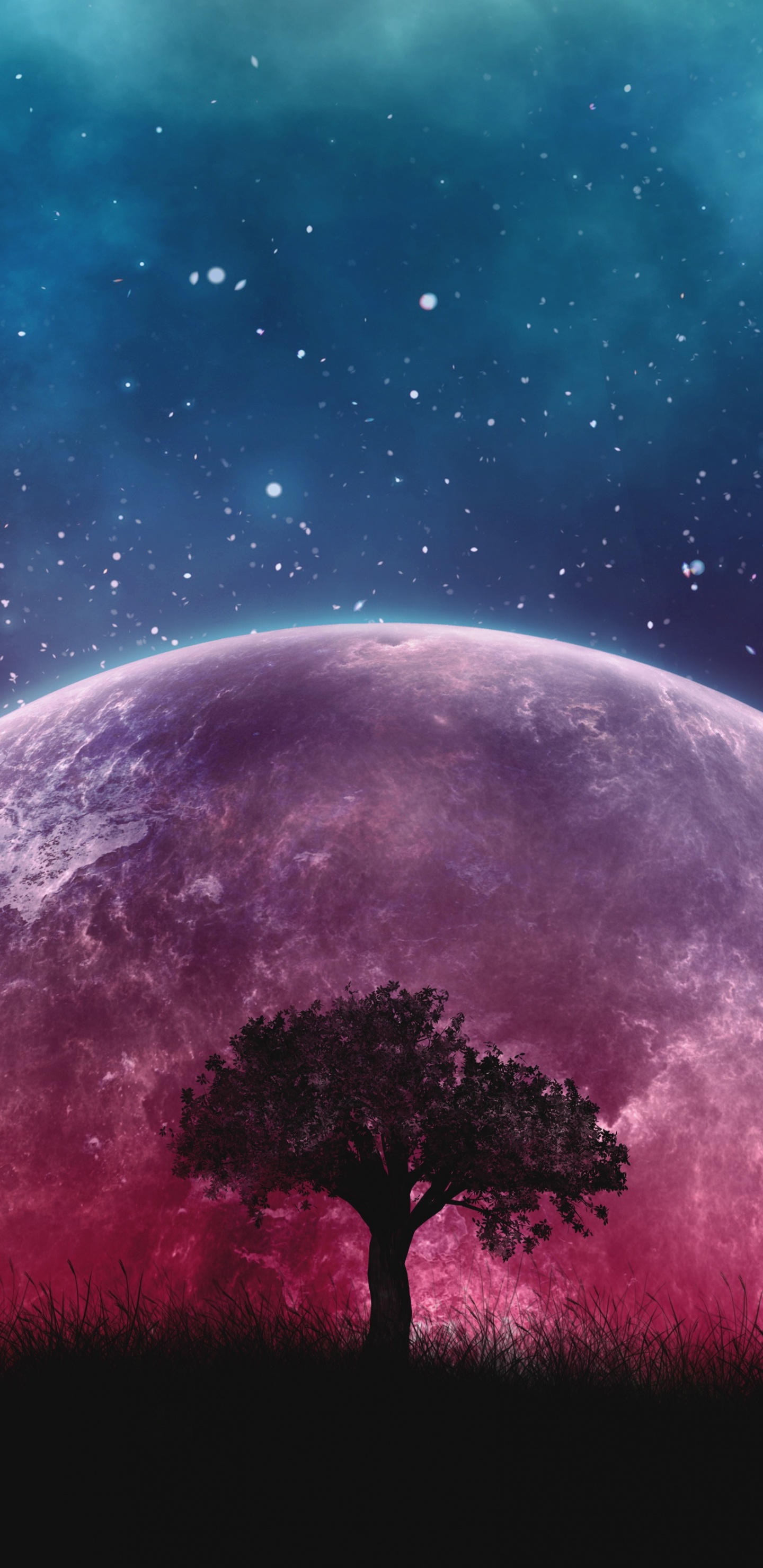 Galaxie, Nature, Atmosphère, Événement Céleste, Univers. Wallpaper in 1440x2960 Resolution