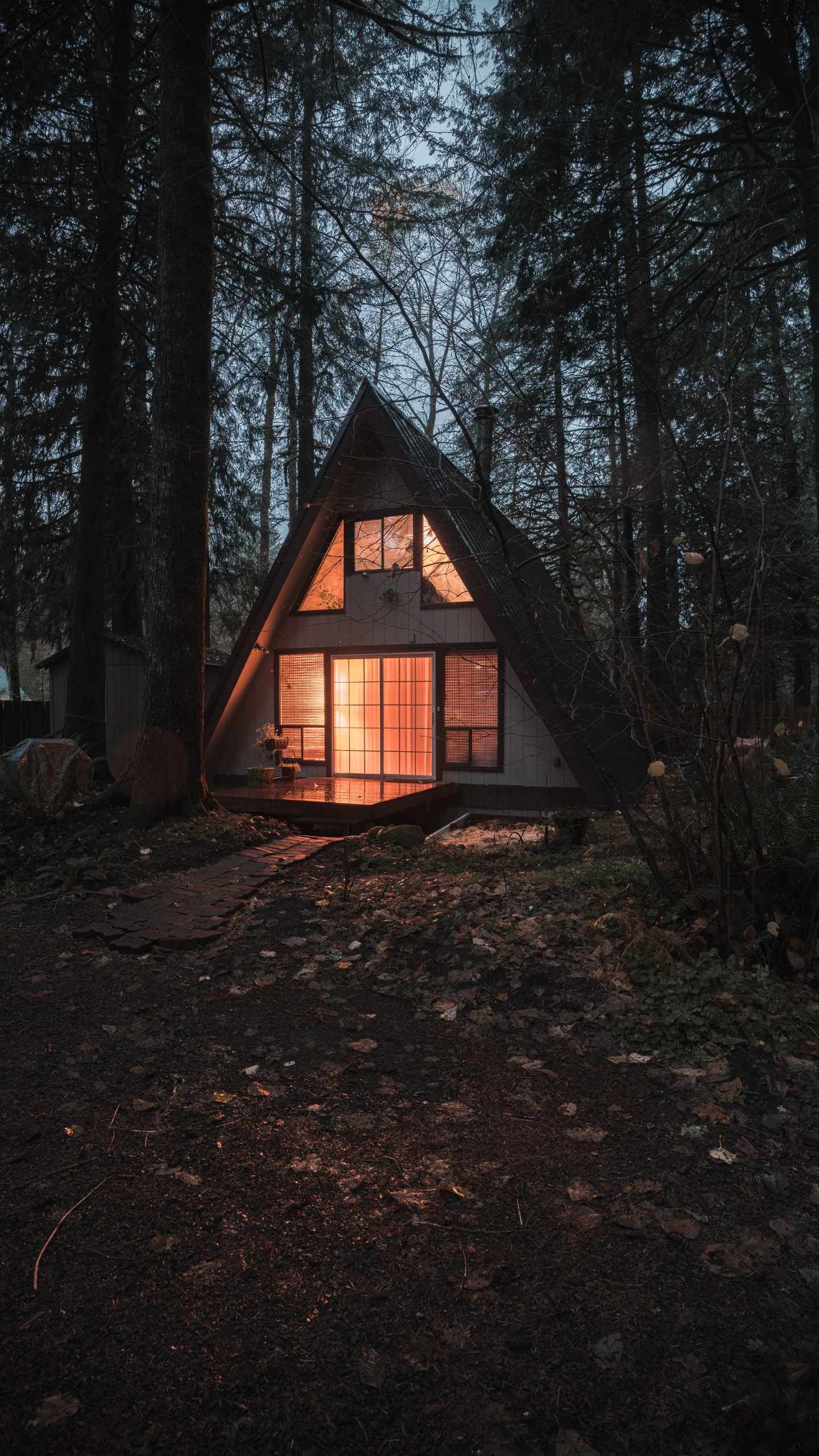 Bâtiment, Maison, Cottage, Forêt, Shed. Wallpaper in 1440x2560 Resolution