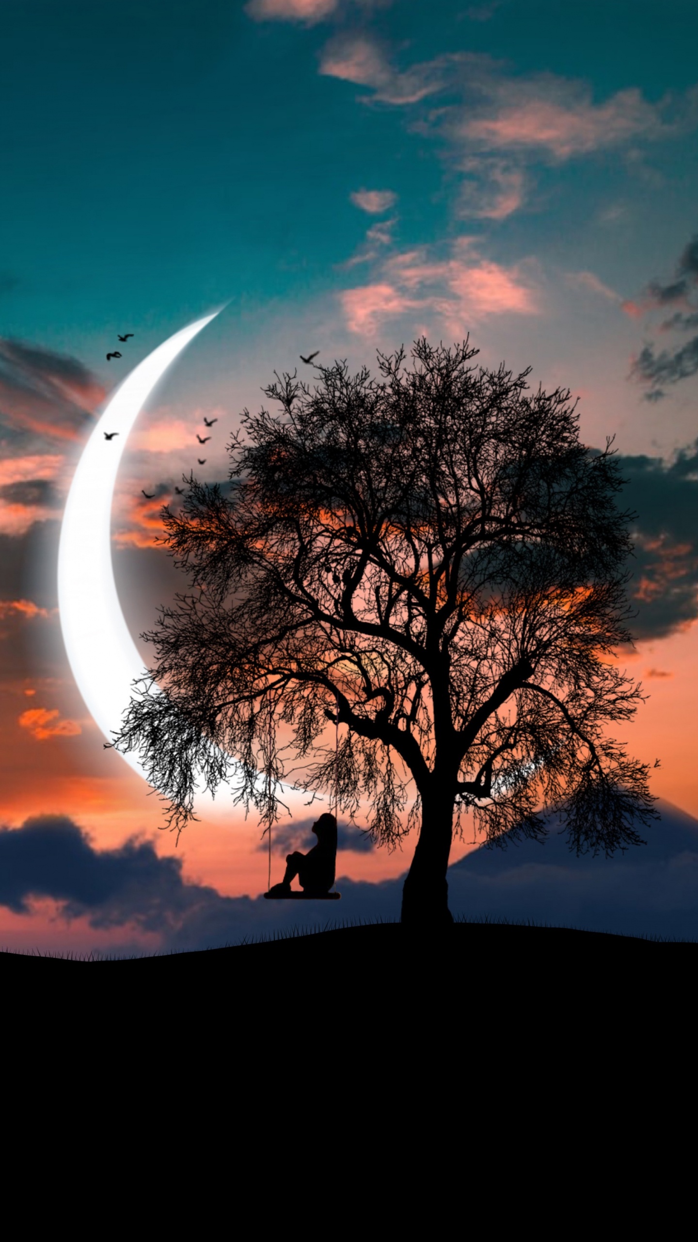 Color, L'heure Dorée, Horizon, Nuit, Atmosphère. Wallpaper in 1440x2560 Resolution