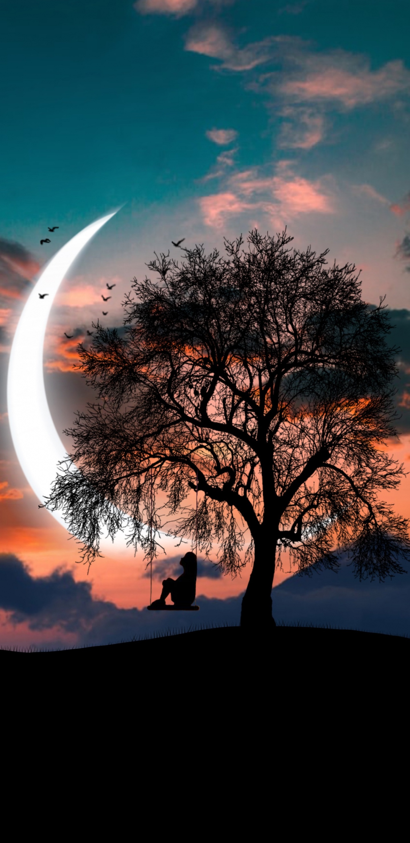 日落, 黄金时间, 地平线, 气氛, 生态区 壁纸 1440x2960 允许