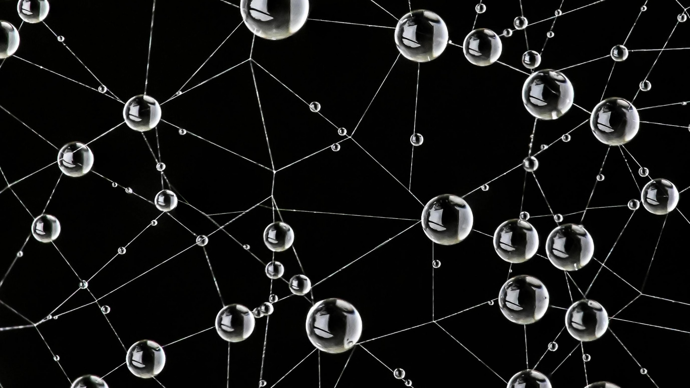 Toile D'araignée, Nature, Noir, Environnement Naturel, Botanique. Wallpaper in 1366x768 Resolution