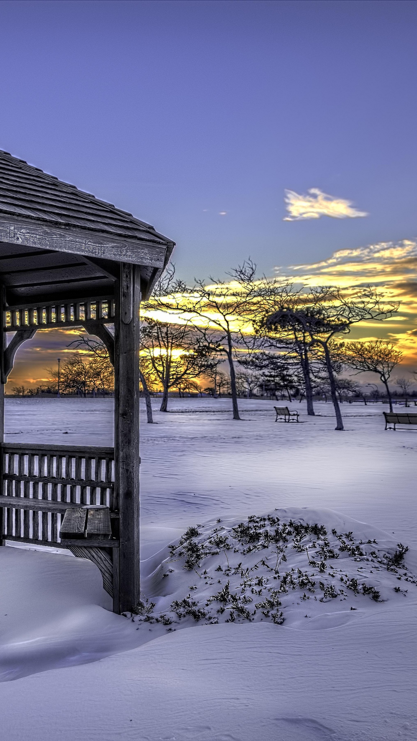 Cloud, Snow, Tree, Fence. Wallpaper in 1440x2560 Resolution