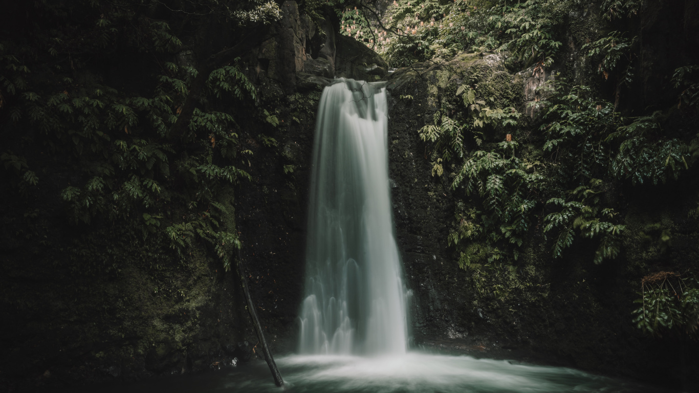 Vegetation, Rainforest, Body of Water, Tree, Nature. Wallpaper in 1366x768 Resolution