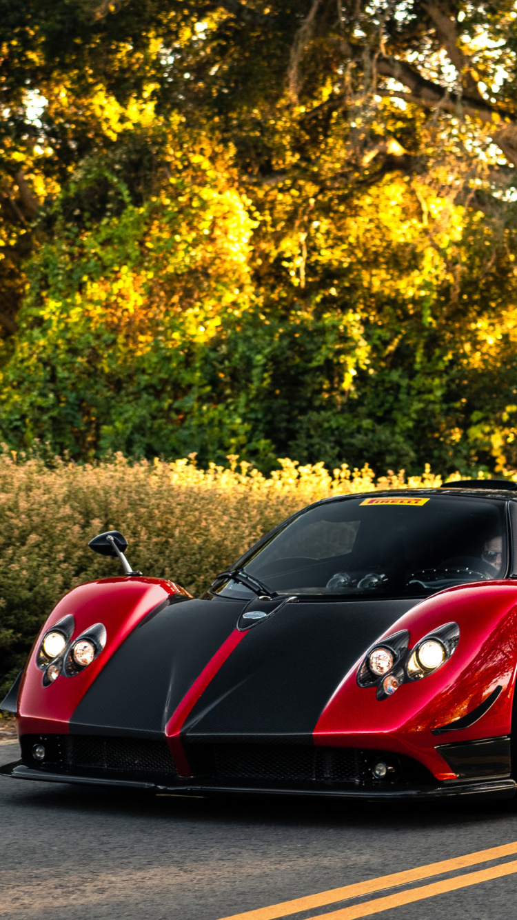 Pagani Zonda, Pagani Huayra, Pagani, King, Sports Car. Wallpaper in 750x1334 Resolution
