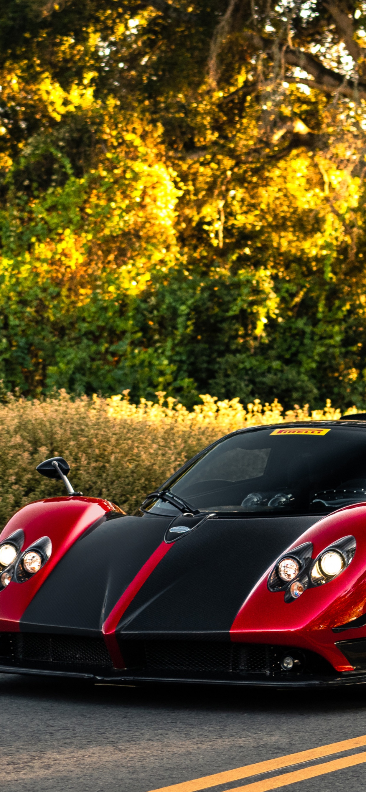 Pagani Zonda, Pagani Huayra, Pagani, Roi, Pagani Zonda R. Wallpaper in 1242x2688 Resolution