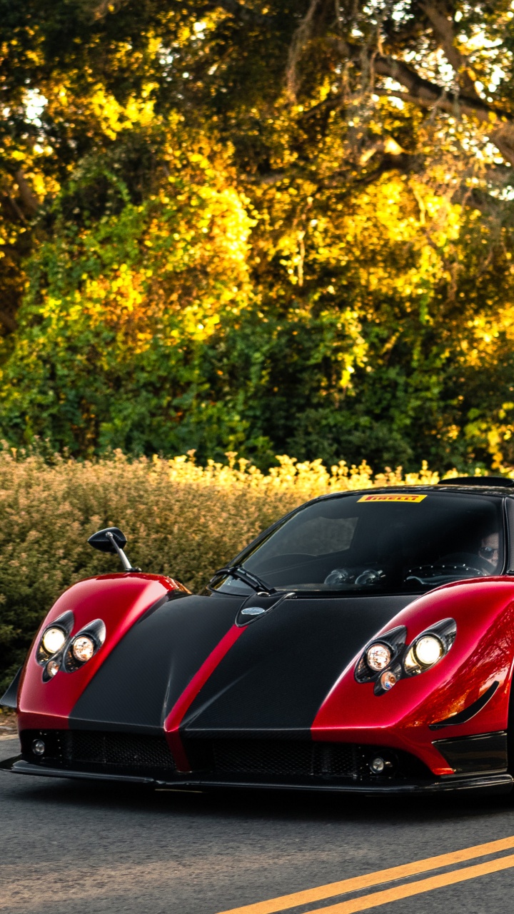 Pagani Zonda, Pagani Huayra, Pagani, Roi, Pagani Zonda R. Wallpaper in 720x1280 Resolution