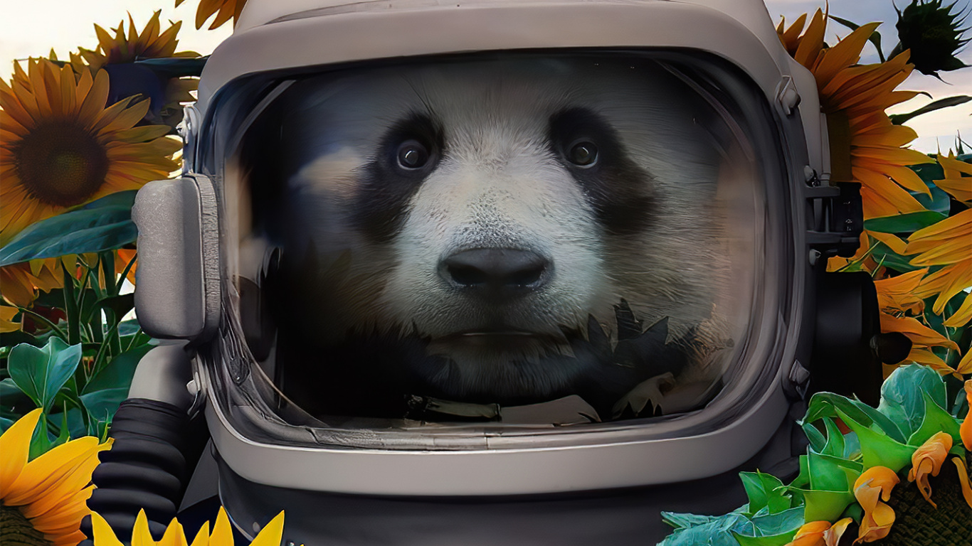 Sunflower, Giant Panda, Flower, Cloud, Great Dane. Wallpaper in 1366x768 Resolution