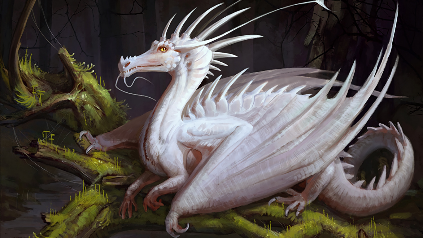 Weißer Drache Auf Gewässer. Wallpaper in 1366x768 Resolution