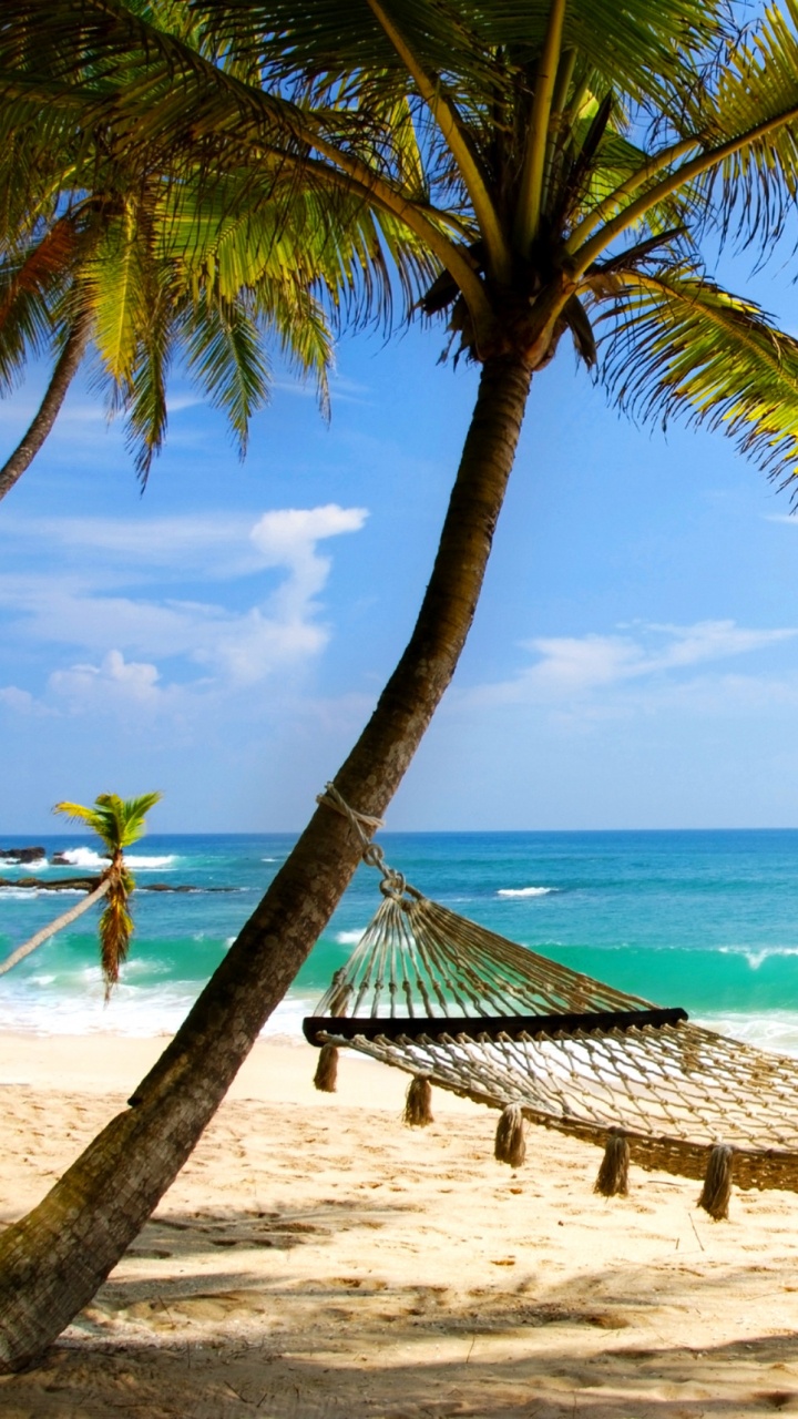 Chaise Longue de Plage en Bois Marron Sur la Plage Pendant la Journée. Wallpaper in 720x1280 Resolution