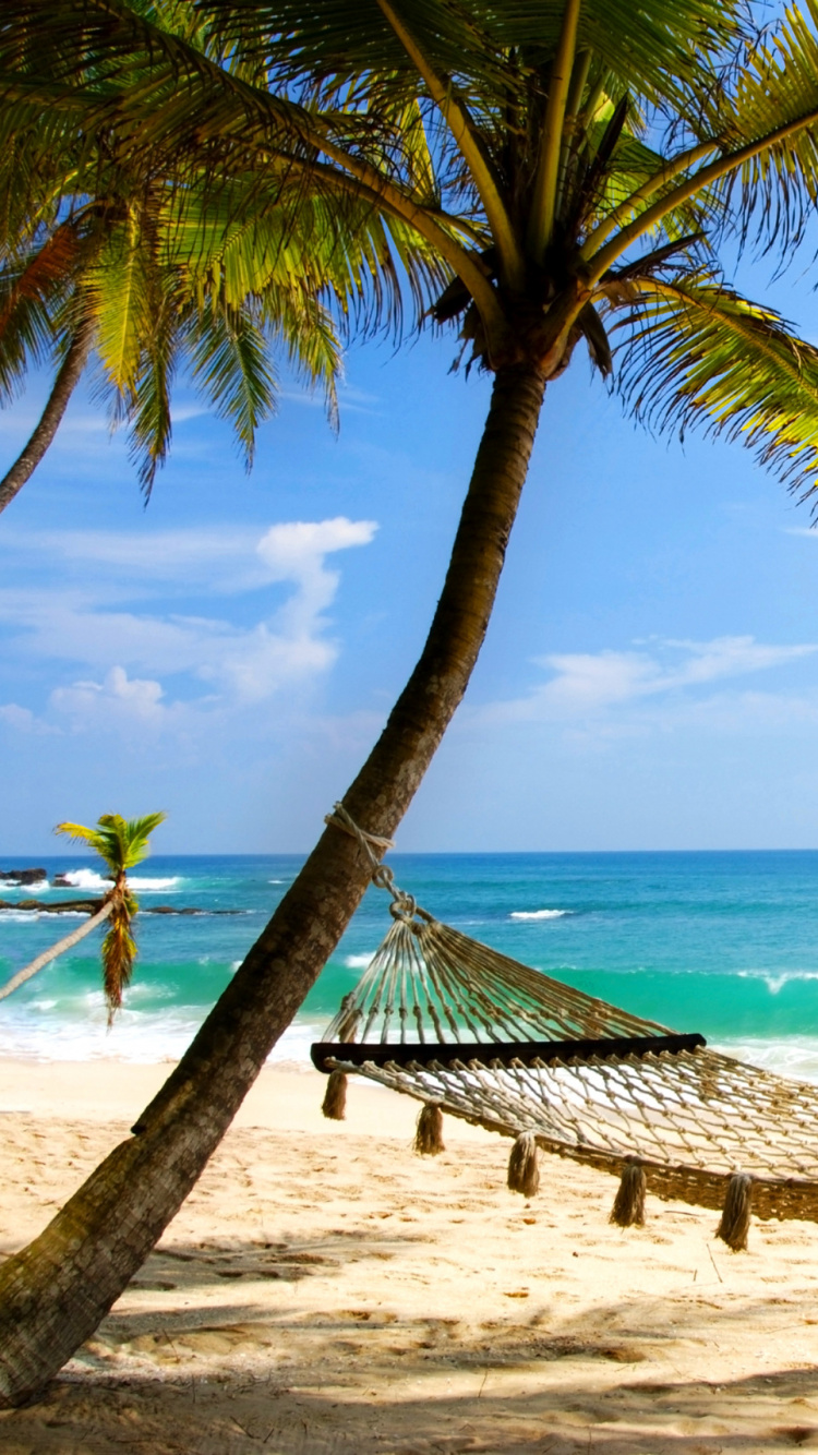 Chaise Longue de Plage en Bois Marron Sur la Plage Pendant la Journée. Wallpaper in 750x1334 Resolution