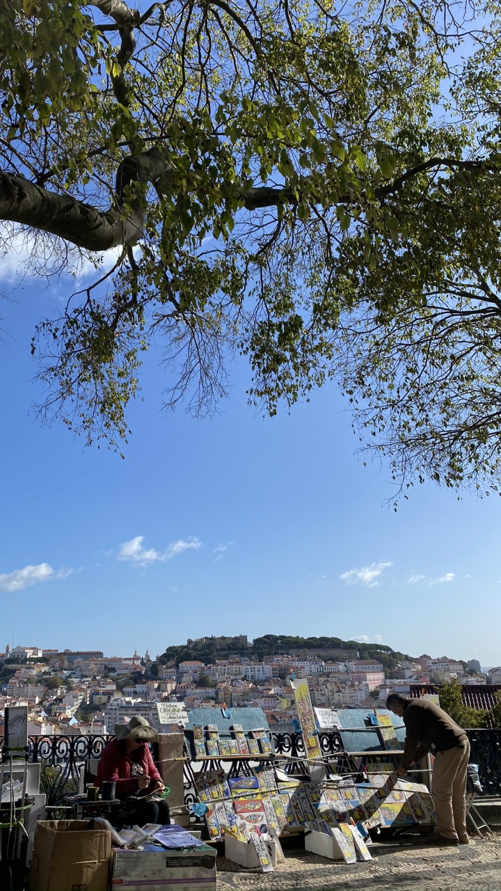 Roi, Eau, Tourisme, Feuille, Rameau. Wallpaper in 720x1280 Resolution