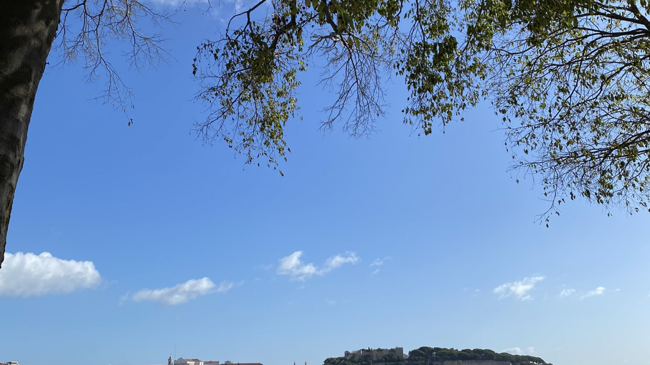 Tree, King, Water, Tourism, Leaf. Wallpaper in 1280x720 Resolution