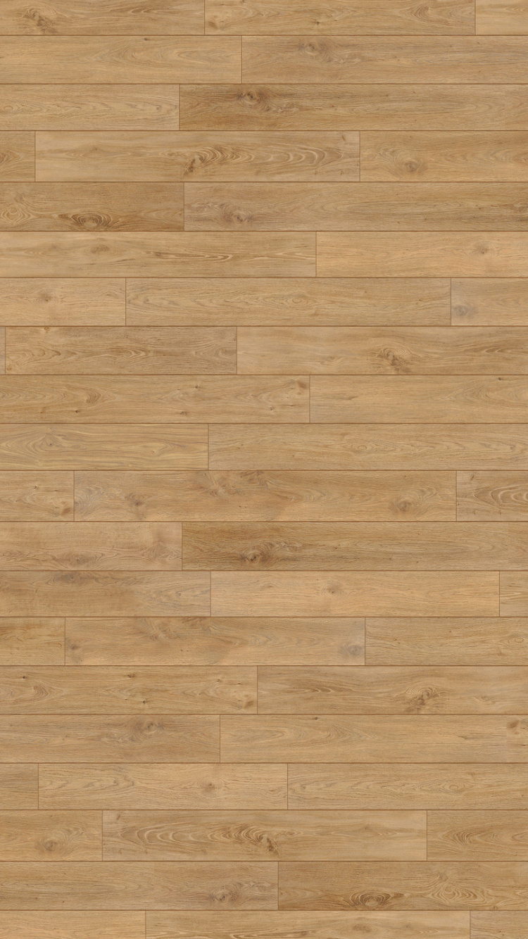 Personne en Chaussures Noires Debout Sur un Plancher en Bois Marron. Wallpaper in 750x1334 Resolution