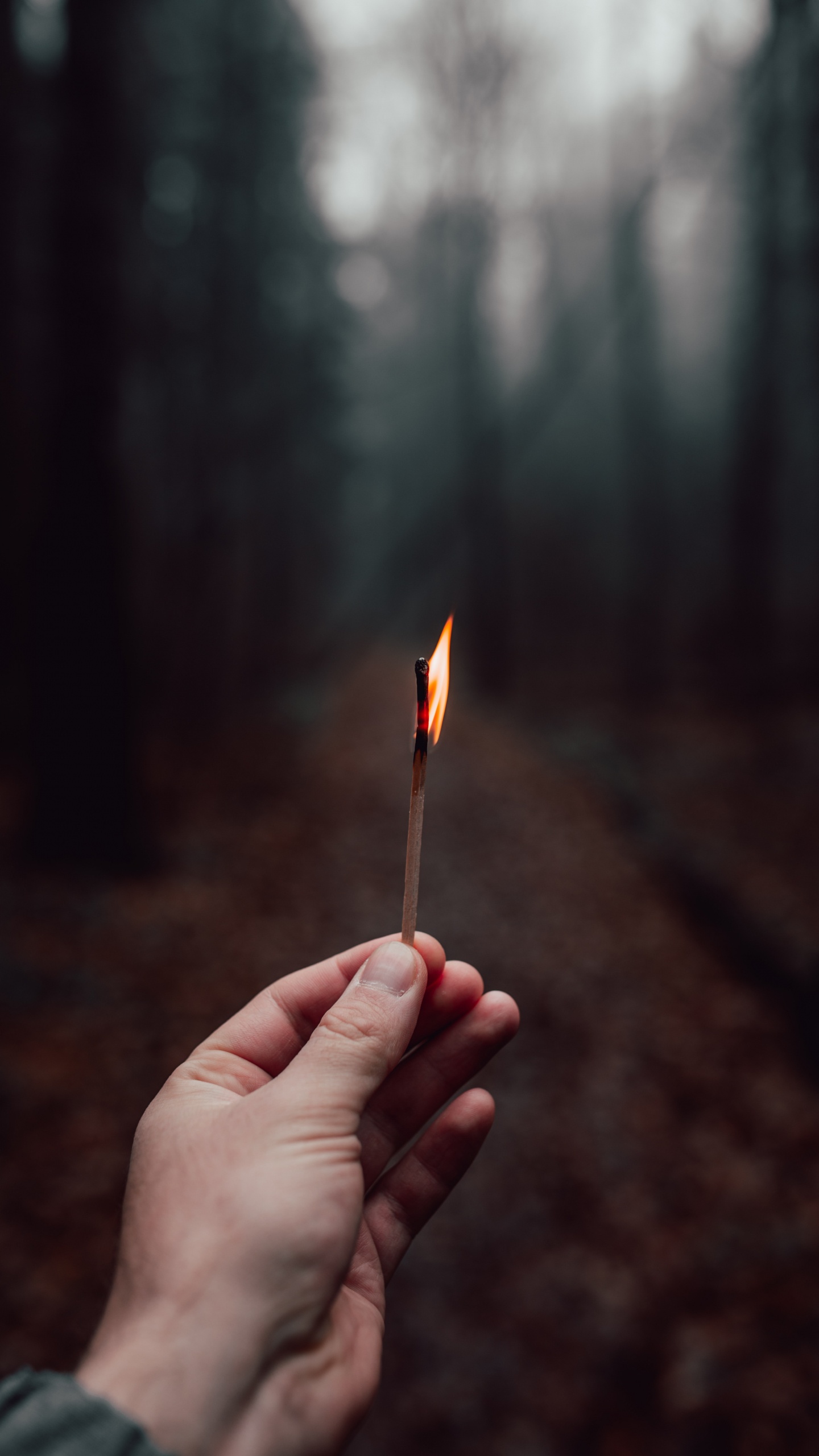Person Holding Lighted Match Stick. Wallpaper in 1440x2560 Resolution